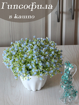 гипсофила в кашпо