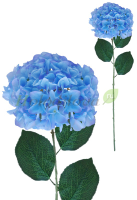 Картинка с сайта