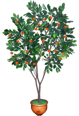 Картинка с сайта