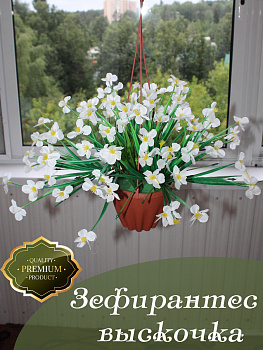 Цветы в подвесном кашпо