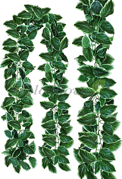 е-00-50-3