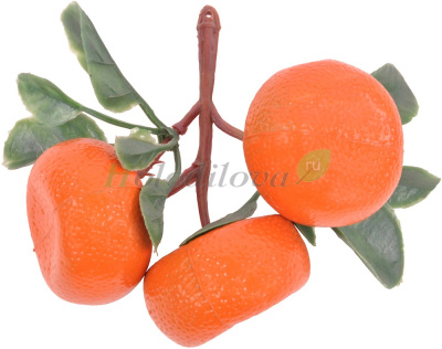 Картинка с сайта