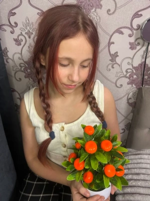 Мандарин в горшке