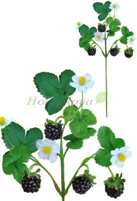 Картинка с сайта