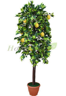 Картинка с сайта