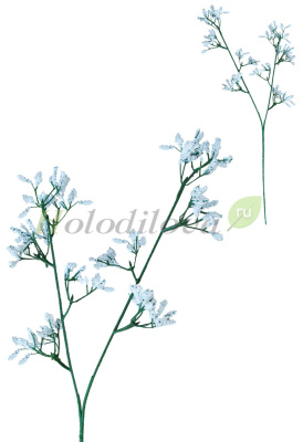 Картинка с сайта