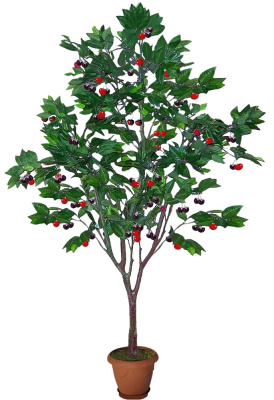 Черешня-А-15-05-3