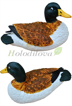 Картинка с сайта