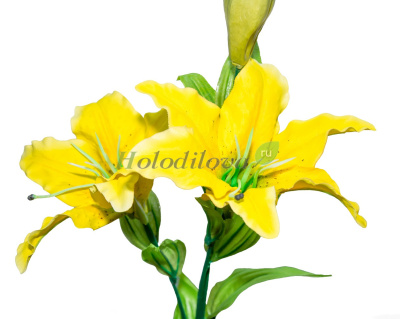 Картинка с сайта