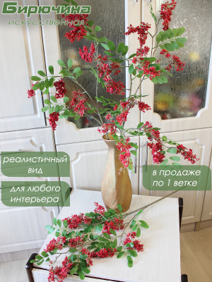 бузина