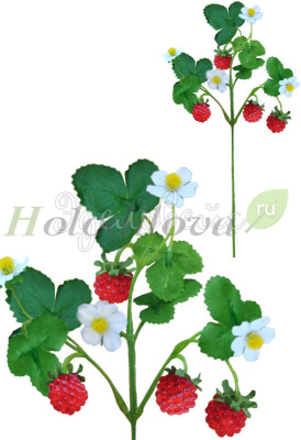 Картинка с сайта