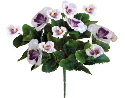 Картинка с сайта