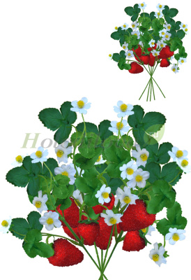 Картинка с сайта