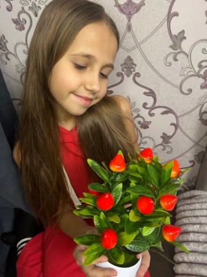 Клубника в горшке