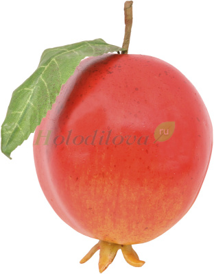 Картинка с сайта