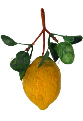 Картинка с сайта