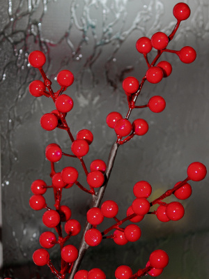 ветка с ягодами