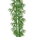 Искусственный бамбук бамбук купить Искусственный бамбук бамбук купить