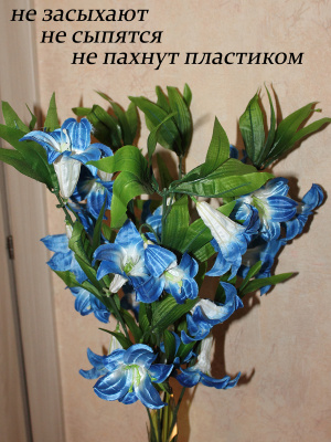 Колокольчики голубые