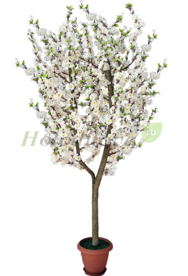 Картинка с сайта