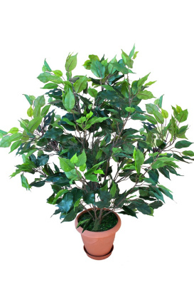 Картинка с сайта