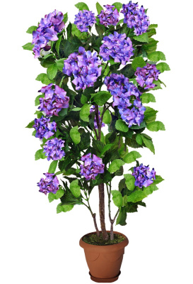 Гортензия-А-15-74-4