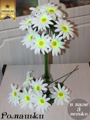 Ромашки на ветке
