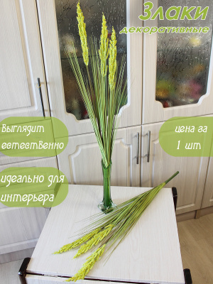 злаки декоративные