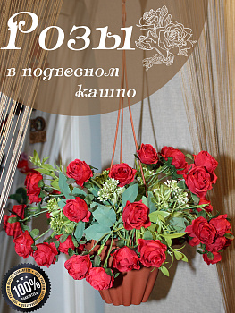 Розы в подвесном кашпо