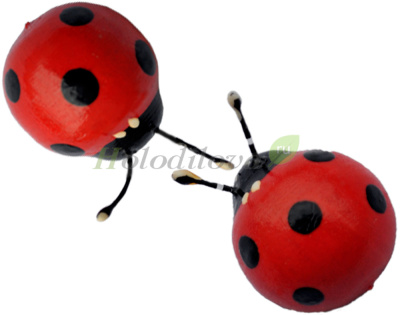 Картинка с сайта