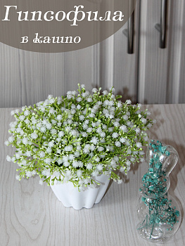 гипсофила в кашпо
