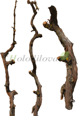 Картинка с сайта