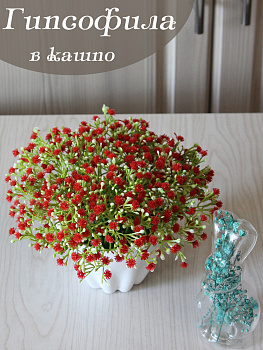 гипсофила в кашпо