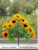 Подсолнухи (букет)