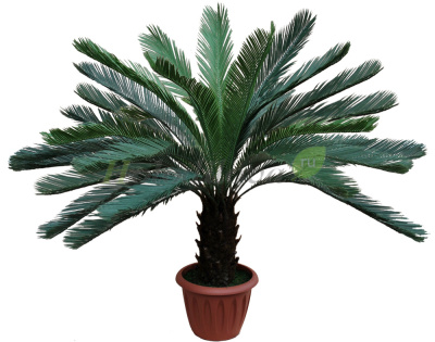 Картинка с сайта