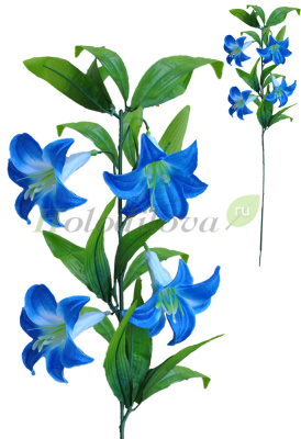 Картинка с сайта