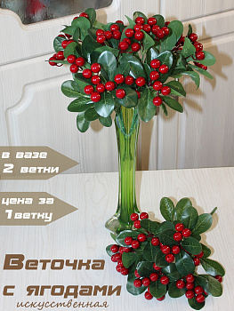 ветка рябины