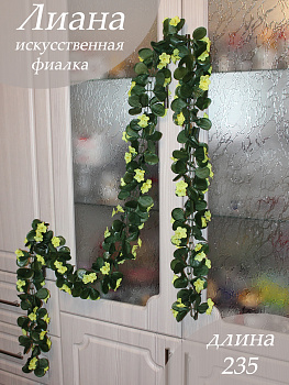 Лиана на цепочке с фиалками