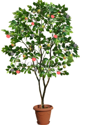 Картинка с сайта