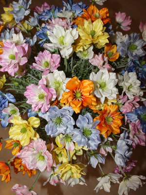 Нигелла дамасская махровая