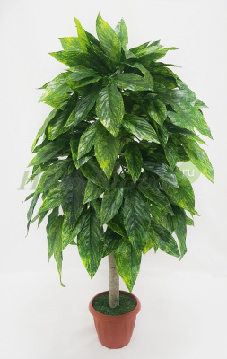 Картинка с сайта