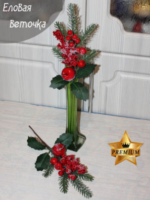 Ветка ели