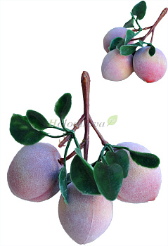 Картинка с сайта