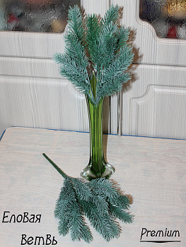 Ветка ели