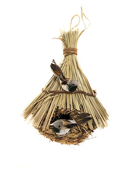 Картинка с сайта