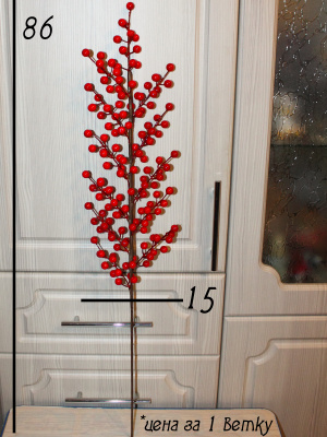 ветка с ягодами