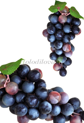 Картинка с сайта