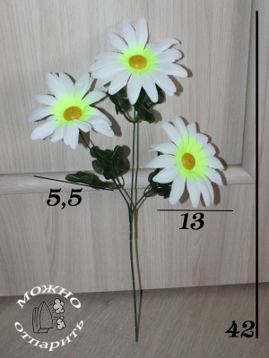 Ромашки на ветке