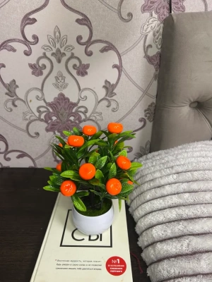 Мандарин в горшке