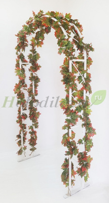 Картинка с сайта